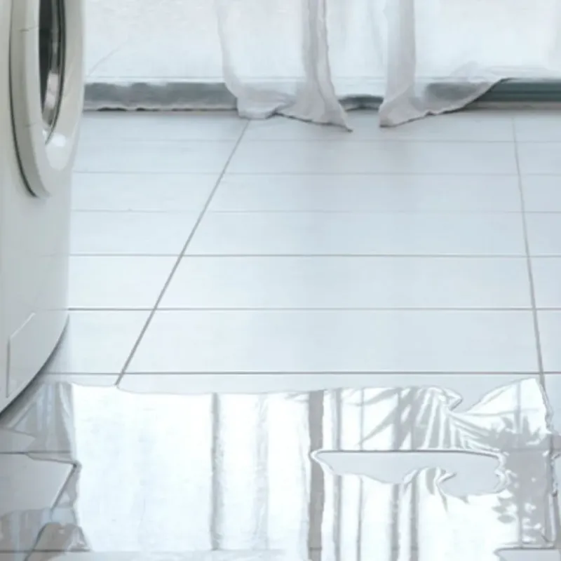 Appliance Leak Cleanup in West Hills, CA